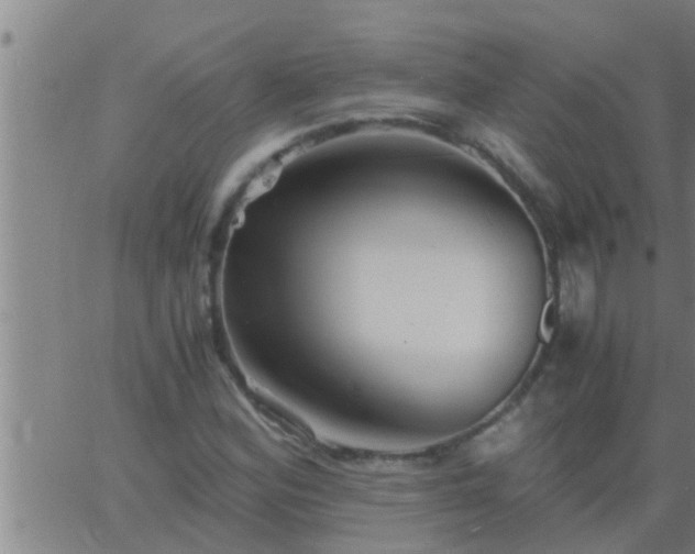 X0000063521164200601271828