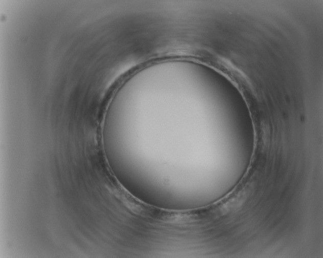 X0000063521166200601271828