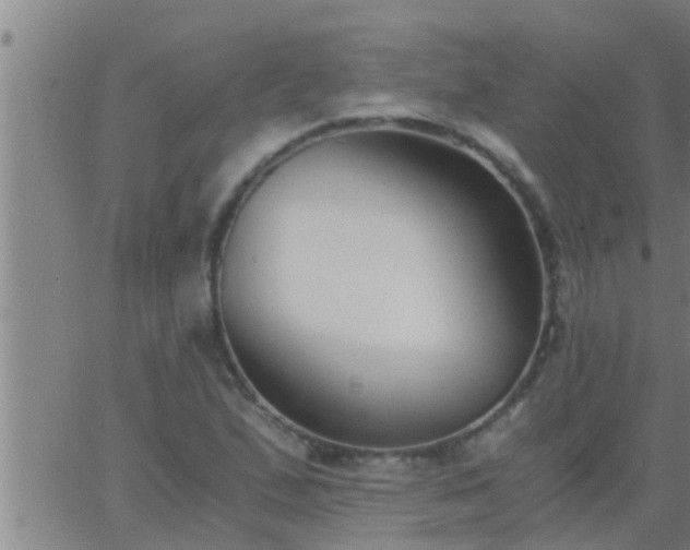 X0000063521167200601271828