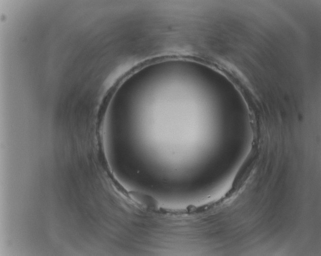 X0000063521168200601271828