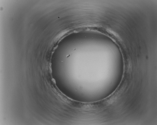 X0000063521169200601271828