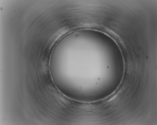 X0000063521170200601271828