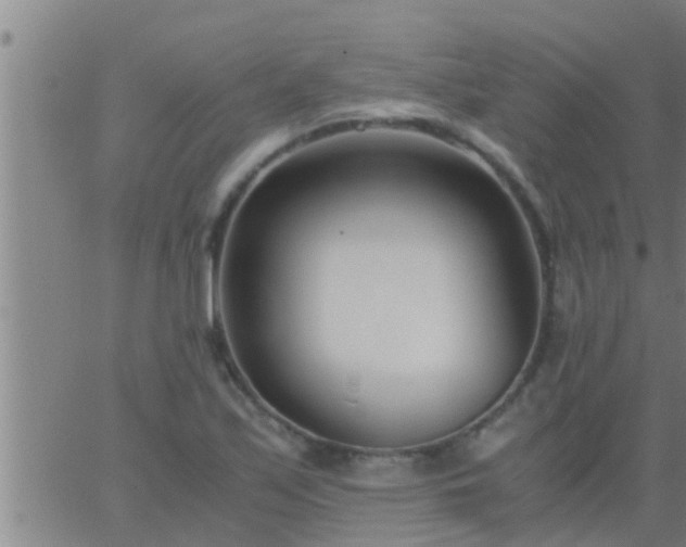 X0000063521171200601271828