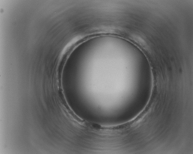 X0000063521172200601271828