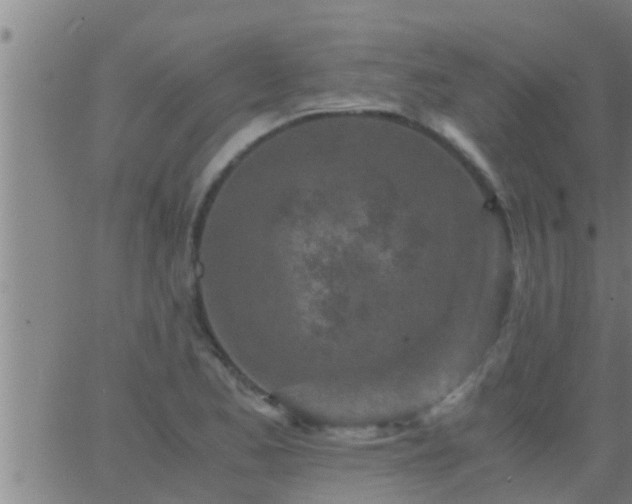 X0000063521173200601271828