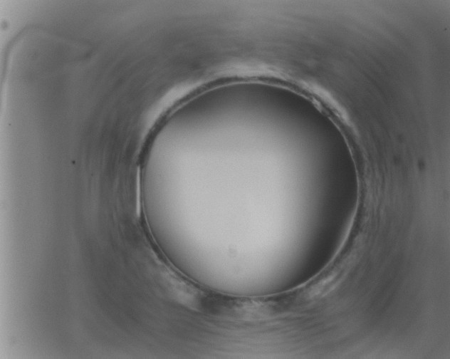 X0000063521175200601271828