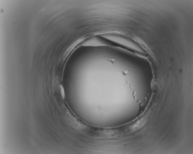 X0000063521177200601271828