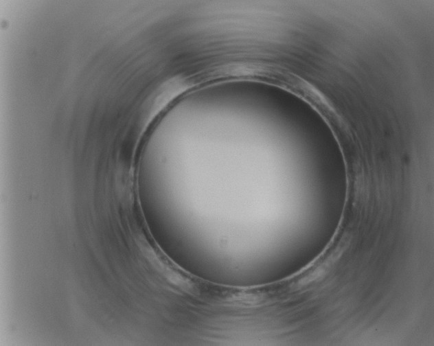 X0000063521178200601271828