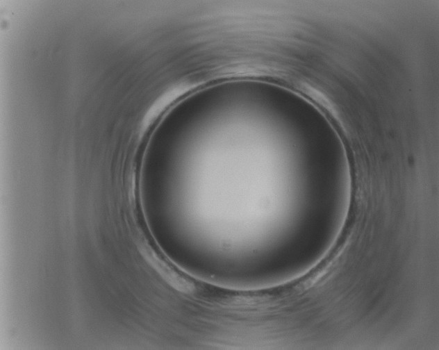 X0000063521179200601271828