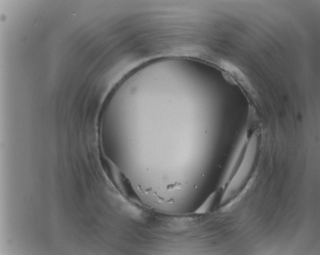 X0000063521184200601271828