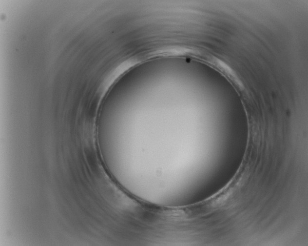 X0000063521186200601271828