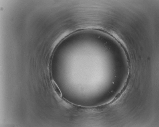 X0000063521189200601271828