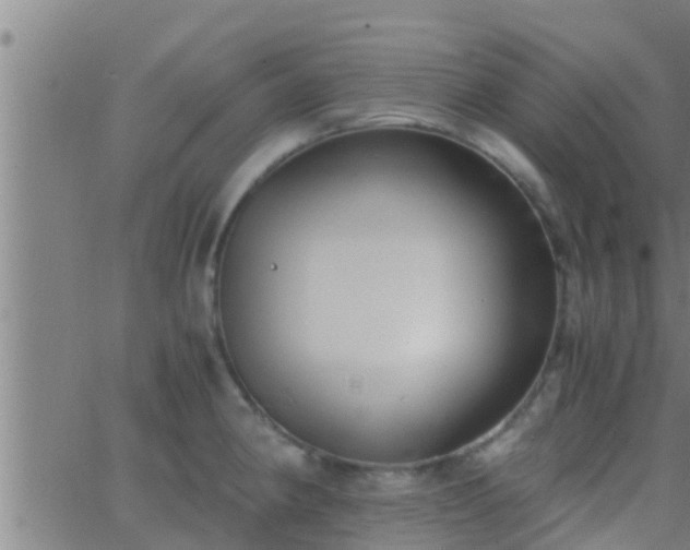 X0000063521190200601271828