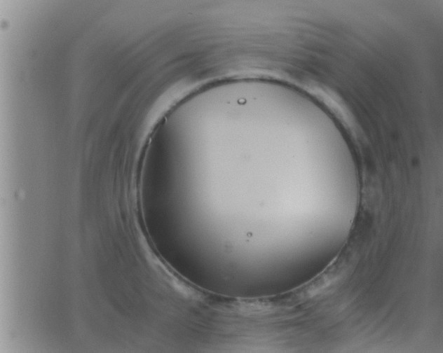 X0000063521191200601271828