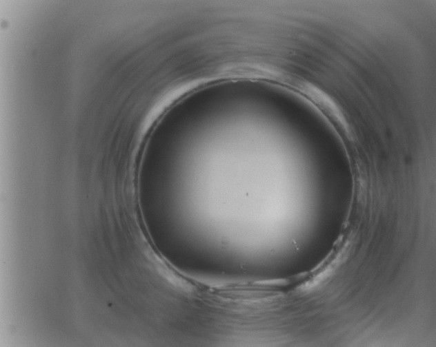 X0000063521192200601271828