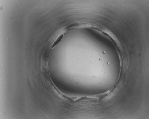 X0000063521193200601271828