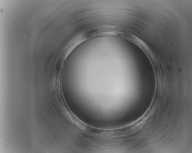 X0000063521194200601271828