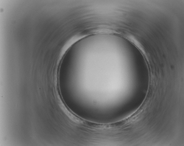 X0000063521195200601271828