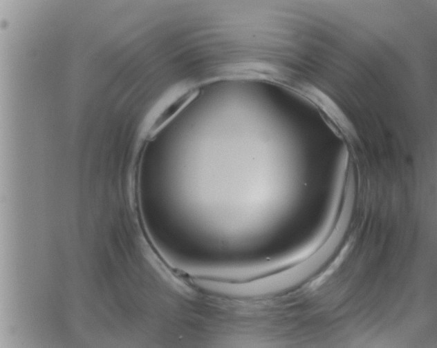 X0000063521196200601271828