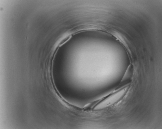 X0000063521197200601271828