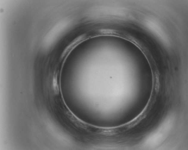 X0000063521198200601271828