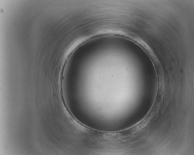 X0000063521199200601271828