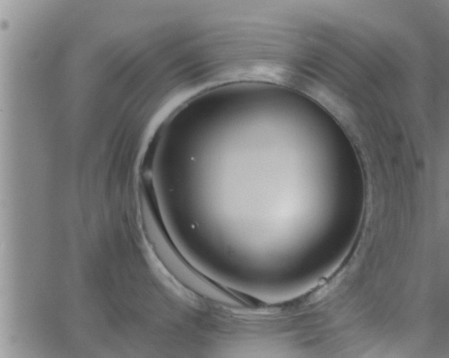 X0000063521200200601271828