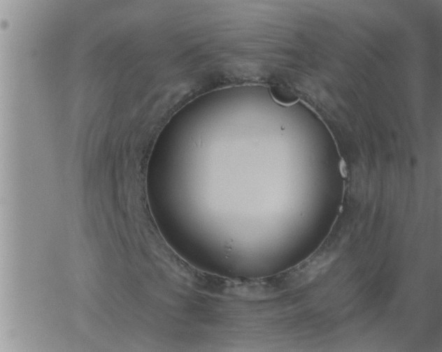 X0000063521201200601271827