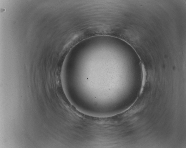 X0000063521202200601271827