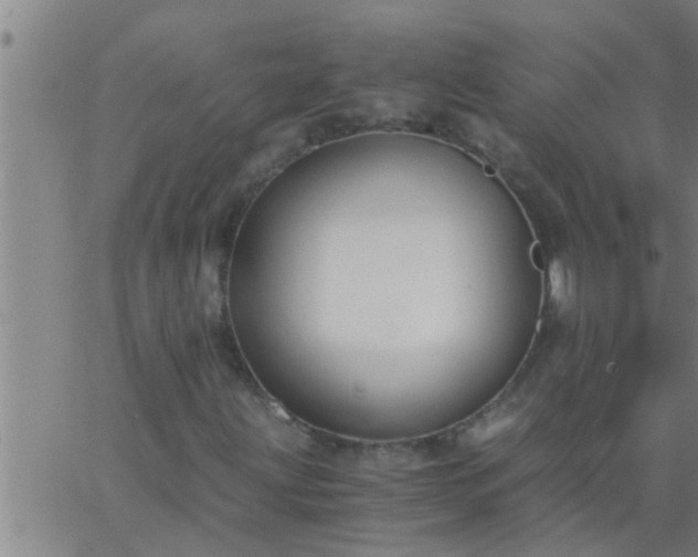 X0000063521203200601271827