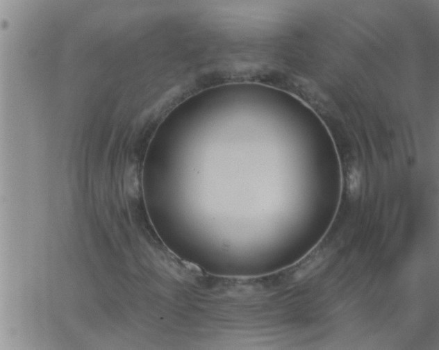 X0000063521204200601271827