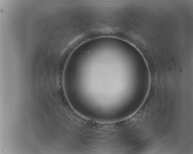 X0000063521205200601271827