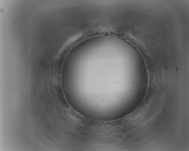 X0000063521207200601271827