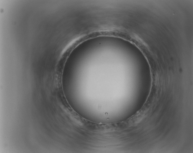 X0000063521208200601271827