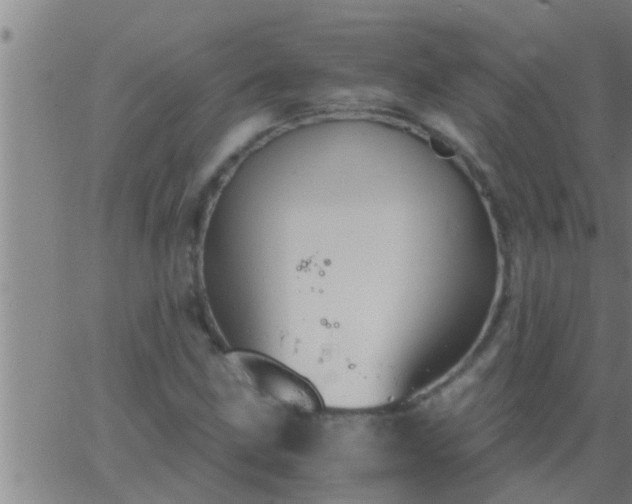 X0000063521211200601271827