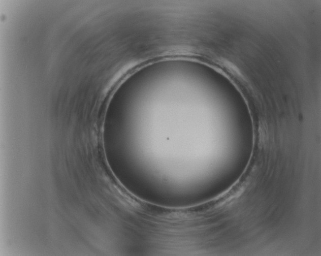 X0000063521212200601271827