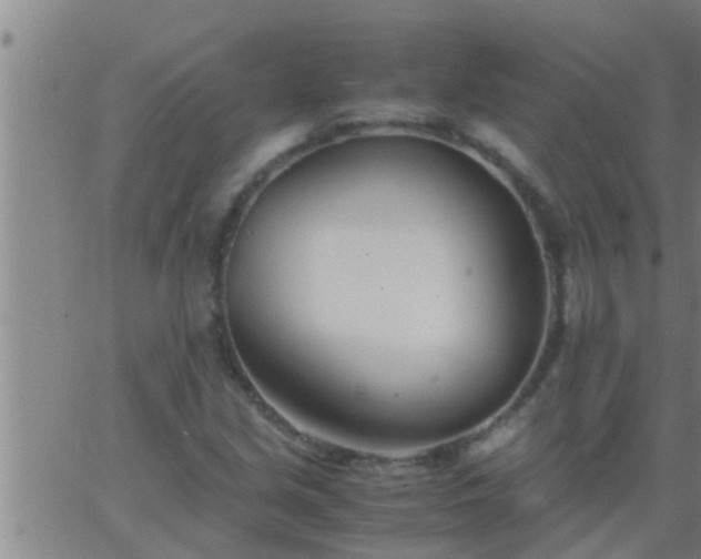 X0000063521213200601271827