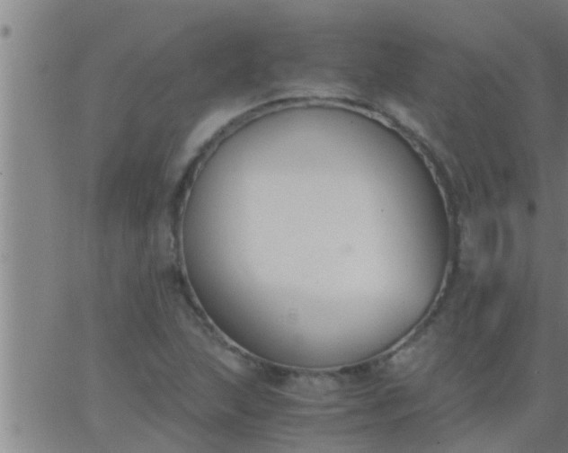 X0000063521215200601271827