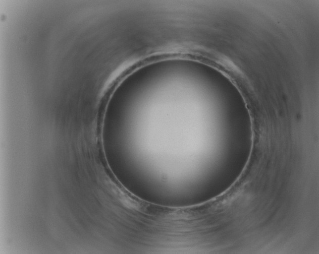 X0000063521216200601271827