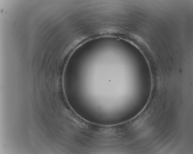 X0000063521217200601271827