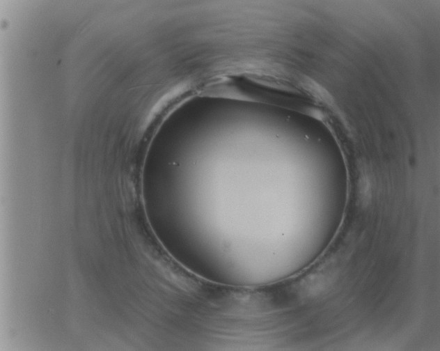 X0000063521218200601271827