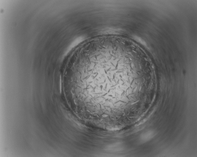 X0000063521219200601271827