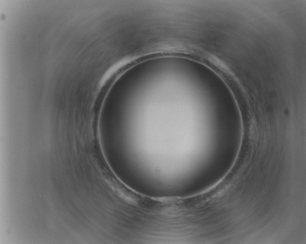 X0000063521222200601271827