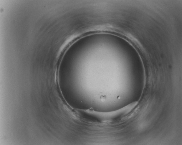 X0000063521224200601271827