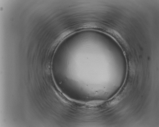 X0000063521225200601271827