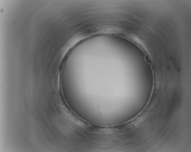 X0000063521227200601271827