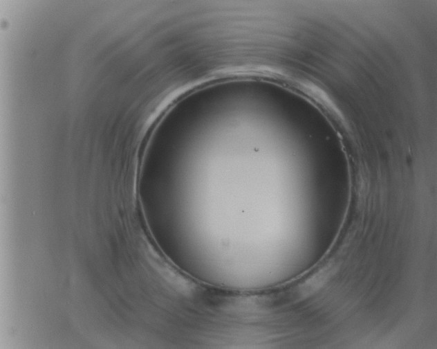 X0000063521228200601271827