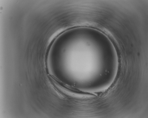 X0000063521230200601271827