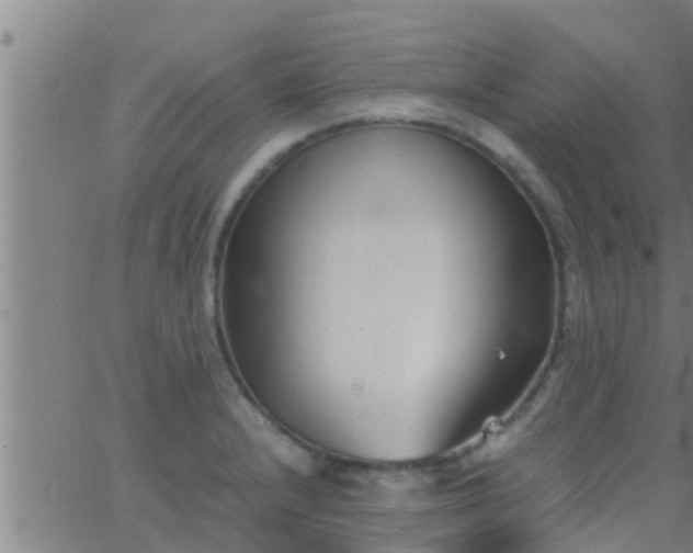 X0000063521232200601271827