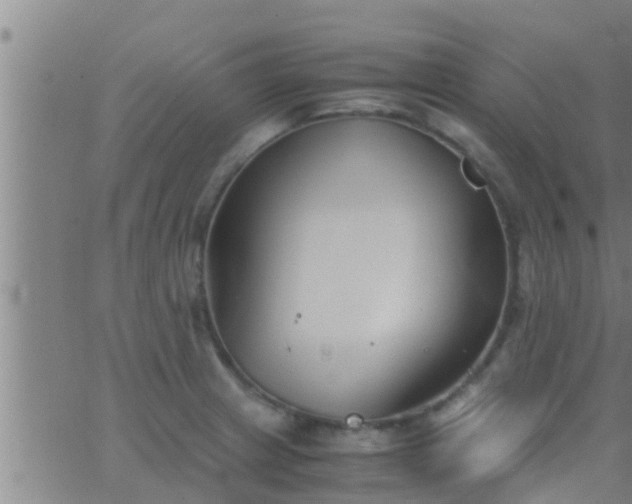 X0000063521233200601271827